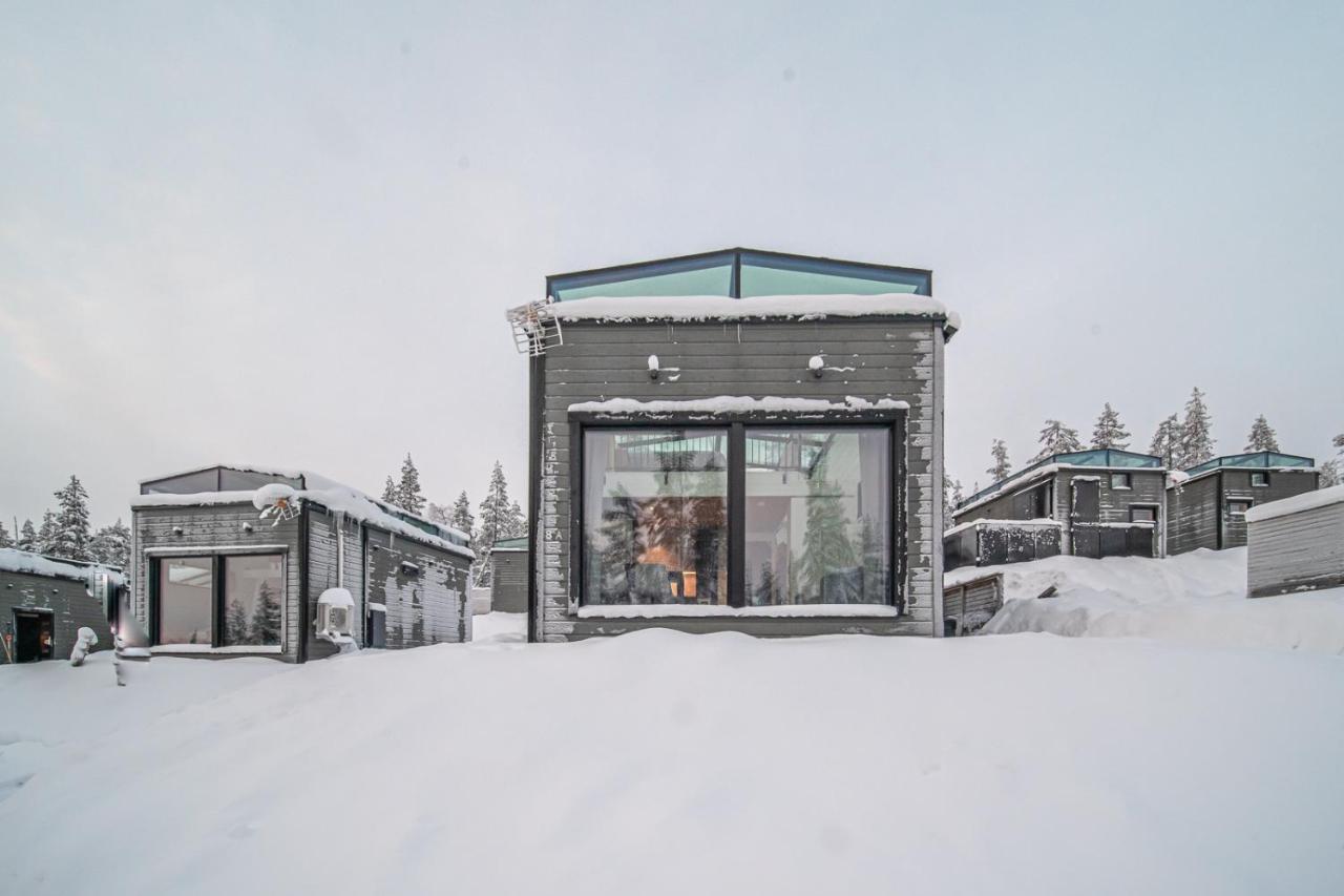 Polaris Igloo * Levi